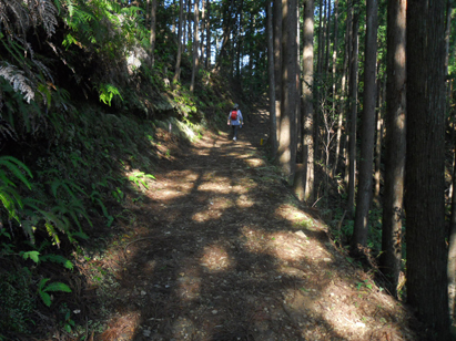 熊野古道